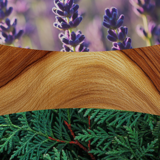 LAVENDER & CEDAR